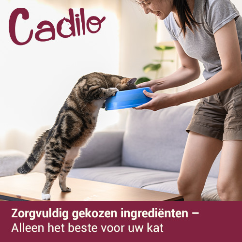 Cadilo Adult Fit kattenvoer