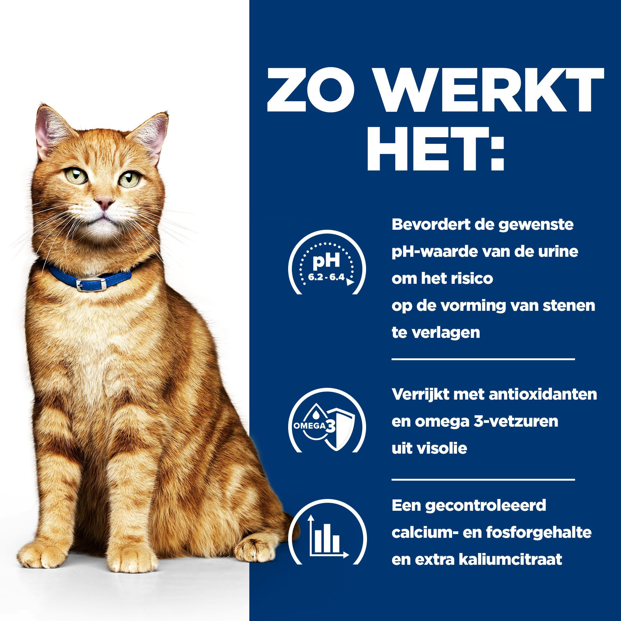 Hill's Prescription Diet C/D Multicare Urinary nat kattenvoer met zalm maaltijdzakje multipack