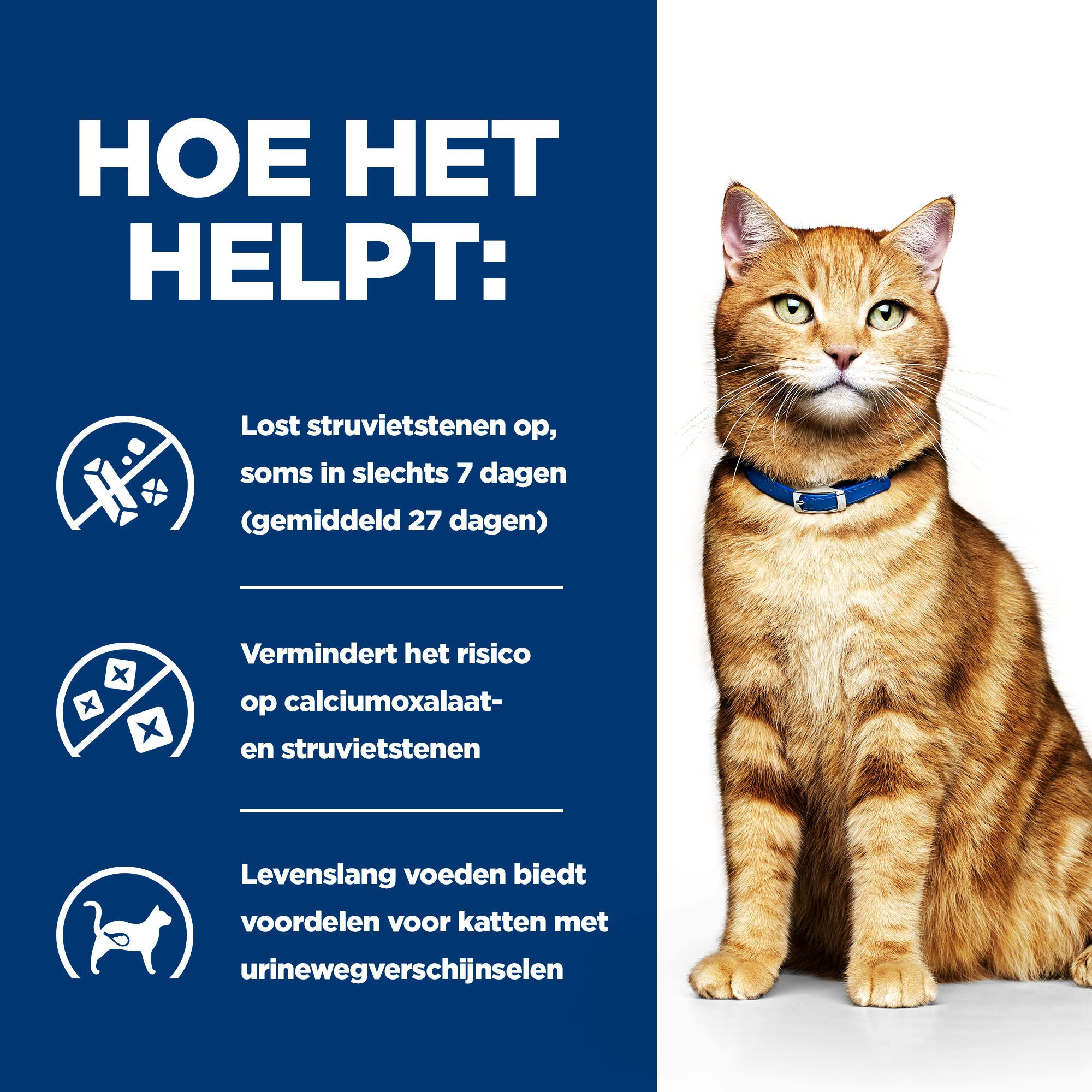 Hill's Prescription Diet C/D Multicare Urinary nat kattenvoer met zalm maaltijdzakje multipack