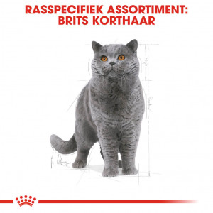 Royal Canin Adult British Shorthair kattenvoer