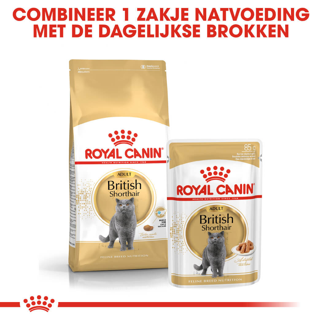 Royal Canin Adult British Shorthair kattenvoer