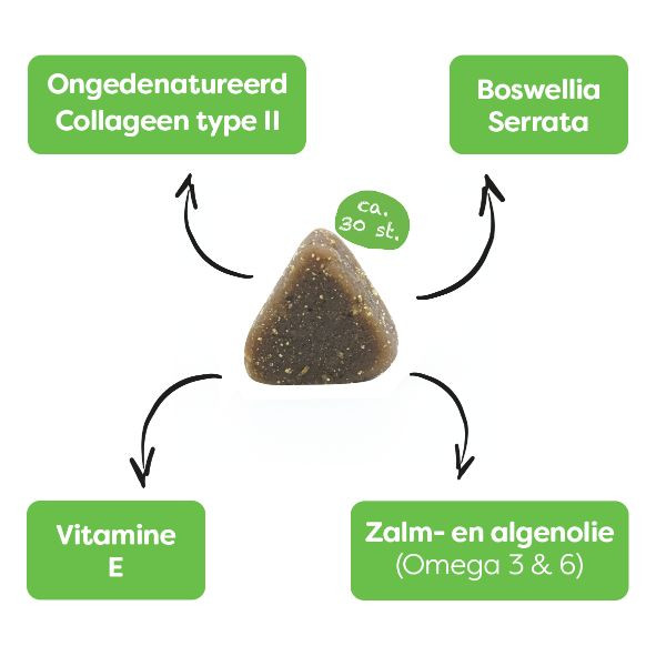 Sanimal Soepele gewrichten met Boswellia voor de hond