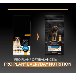 Pro Plan Large Robust Adult Everyday Nutrition met kip hondenvoer