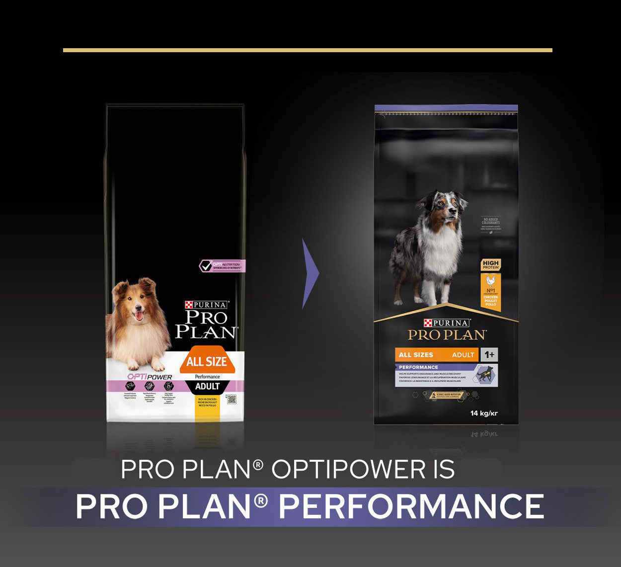 Pro Plan All Sizes Adult Performance met kip hondenvoer
