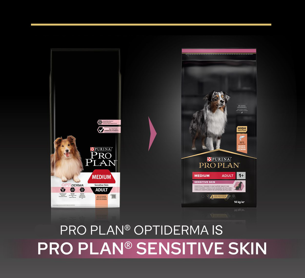 Pro Plan Medium Adult Sensitive Skin met zalm en rijst hondenvoer