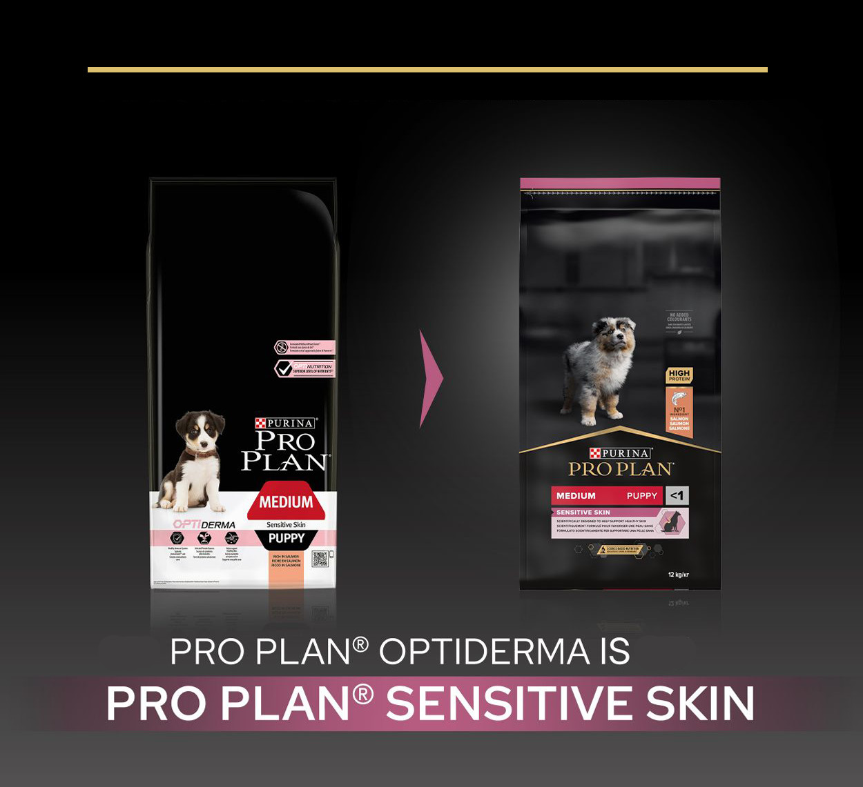 Pro plan medium sensitive skin puppy clearance
