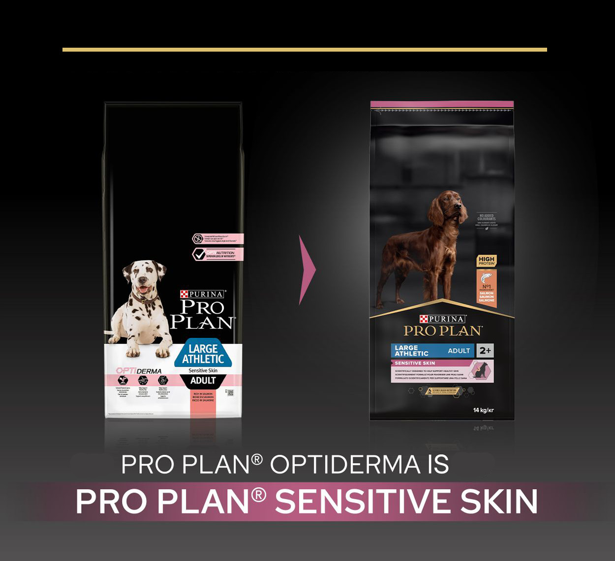 Pro Plan Optiderma Large Athletic Sensitive Skin Adult hond