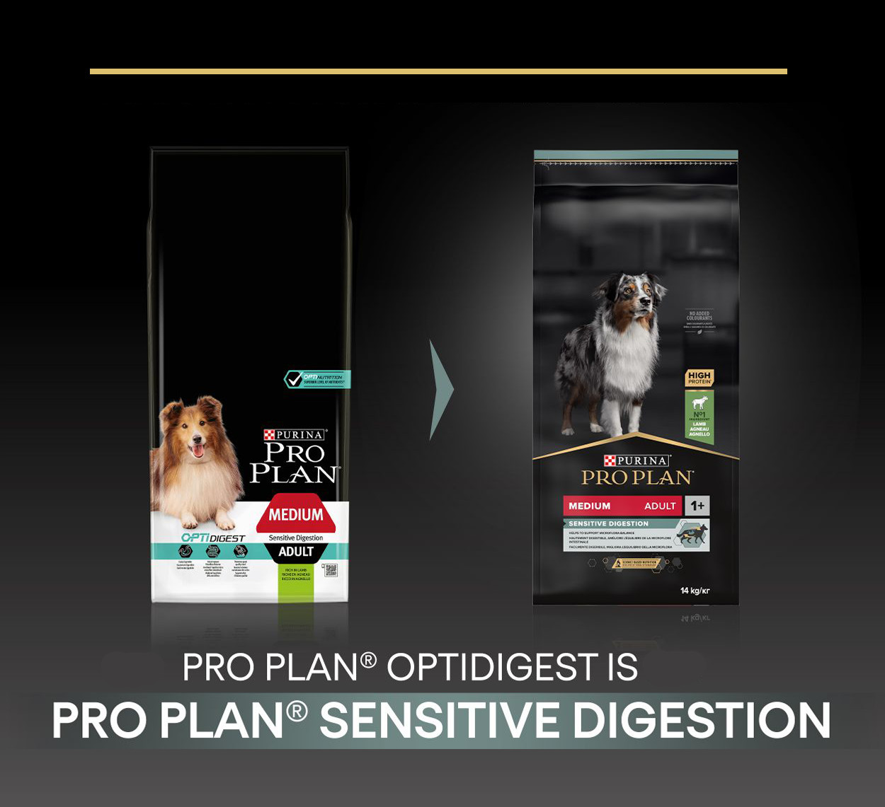 Pro Plan Medium Adult Sensitive Digestion met lam hondenvoer