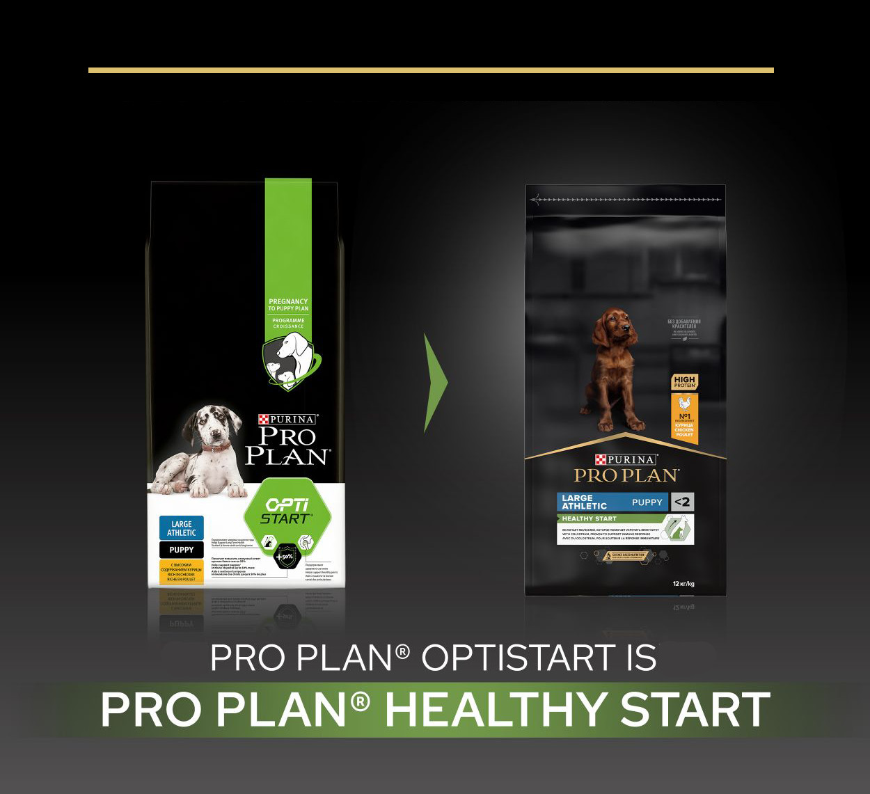 Pro Plan Large Athletic Puppy Healthy Start met kip hondenvoer