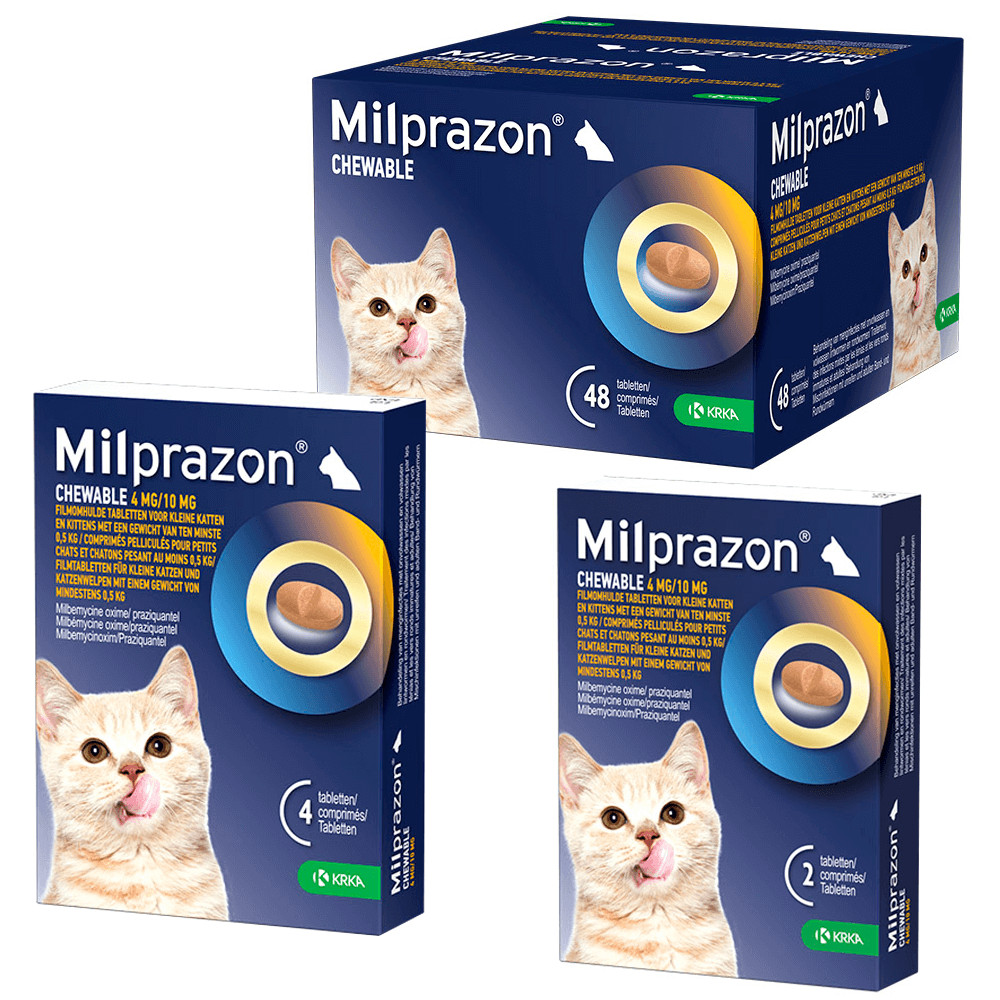 Final Stor vrangforestilling Nødvendig Milprazon Chewable 4 mg / 10 mg kitten en kleine kat