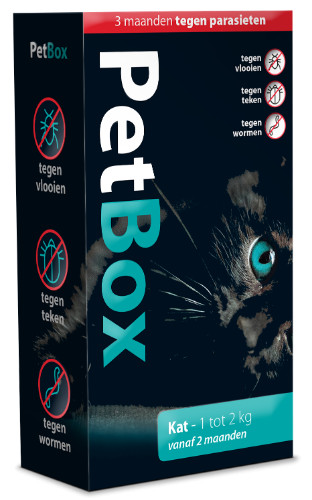 PetBox Kat