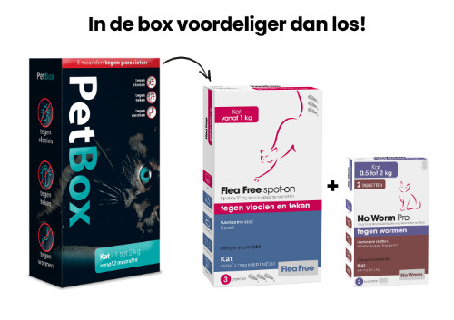 PetBox Kat