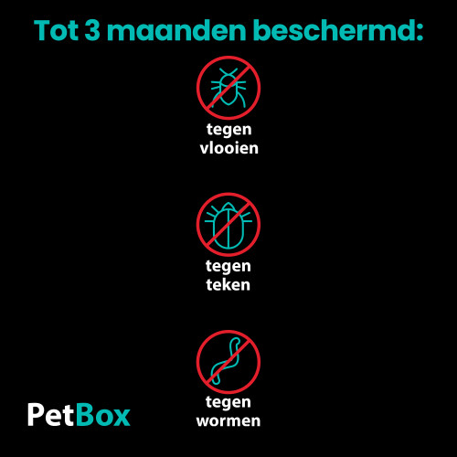 PetBox Kat