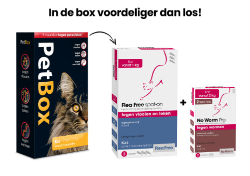 PetBox Kat