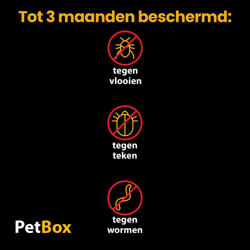 PetBox Kat