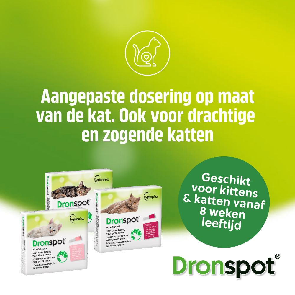 Dronspot 96 mg/24 mg Spot-on oplossing voor katten (5- 8 kg)