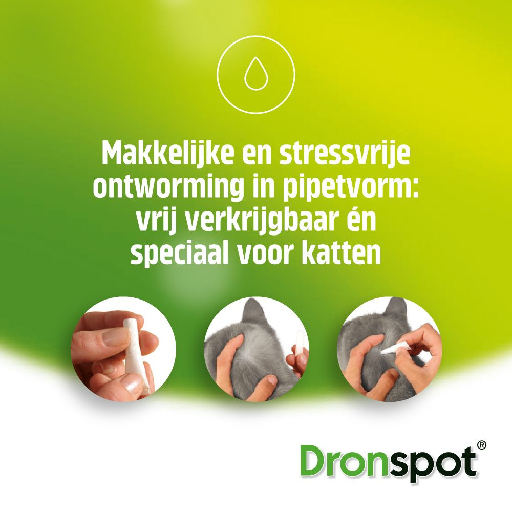 Dronspot 96 mg/24 mg Spot-on oplossing voor katten (5- 8 kg)