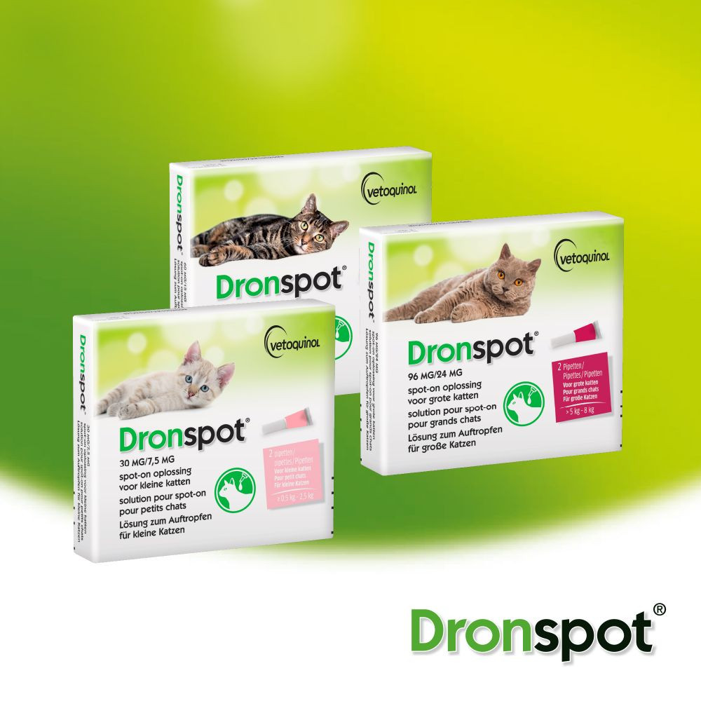 Dronspot 60 mg/15 mg Spot-on oplossing voor  katten (2,5 - 5 kg)