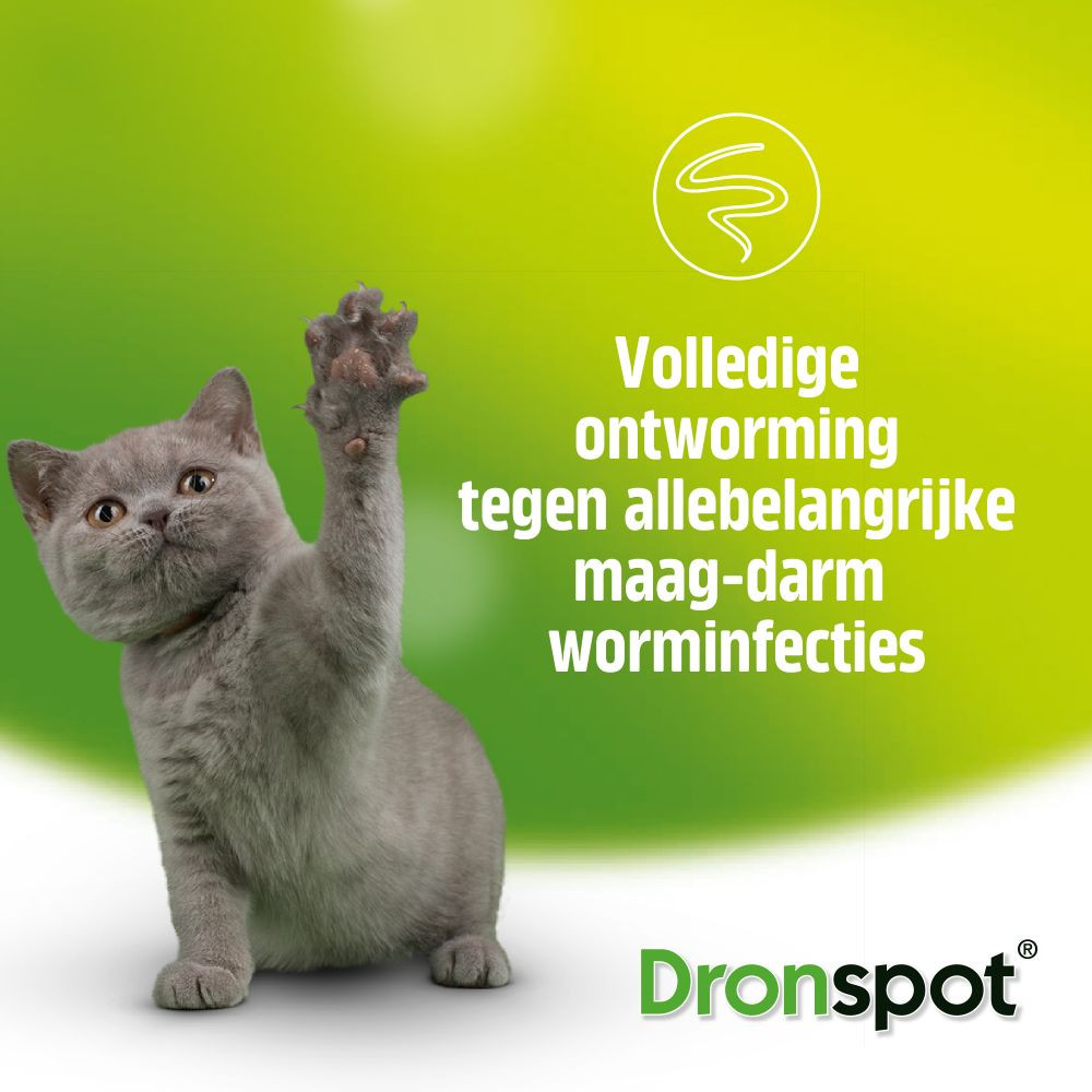 Dronspot 60 mg/15 mg Spot-on oplossing voor  katten (2,5 - 5 kg)