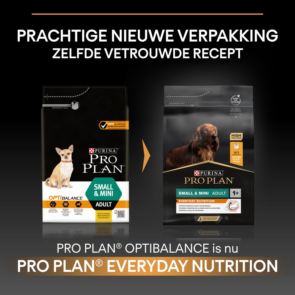 Pro Plan Small & Mini Adult Everyday Nutrition met kip hondenvoer