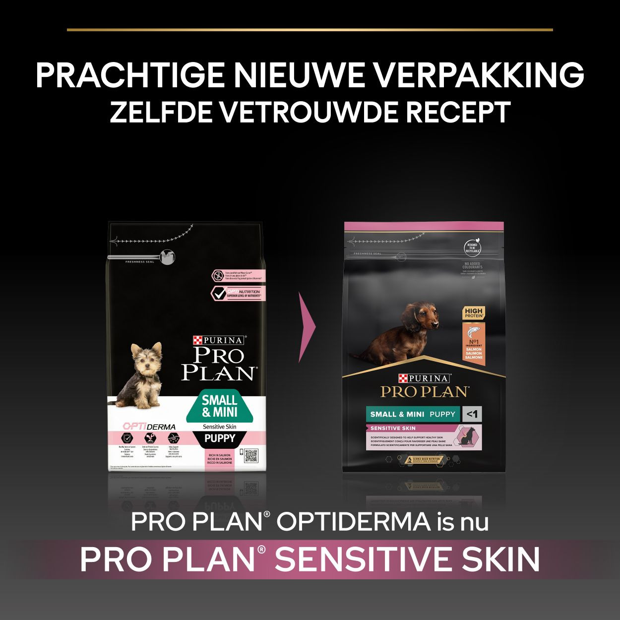 Pro Plan Small & Mini Puppy Sensitive Skin met Optiderma hondenvoer