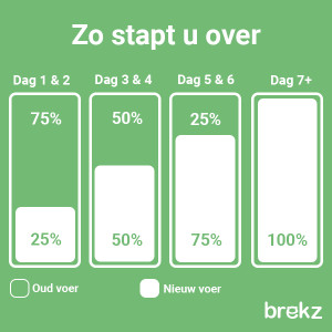 Overstapadvies NL