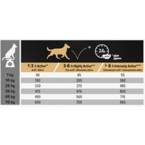 Pro Plan All Sizes Adult Performance met kip hondenvoer
