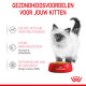 Royal Canin Kitten natvoer in jelly (85 g)