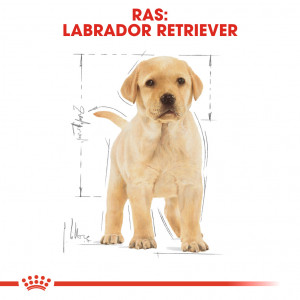 Royal Canin Puppy Labrador Retriever hondenvoer