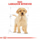 Royal Canin Puppy Labrador Retriever hondenvoer