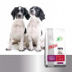 Prins Fit Selection Puppy & Junior Hondenvoer