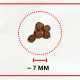 Lukos Puppy en Junior Mini & Small Breeds