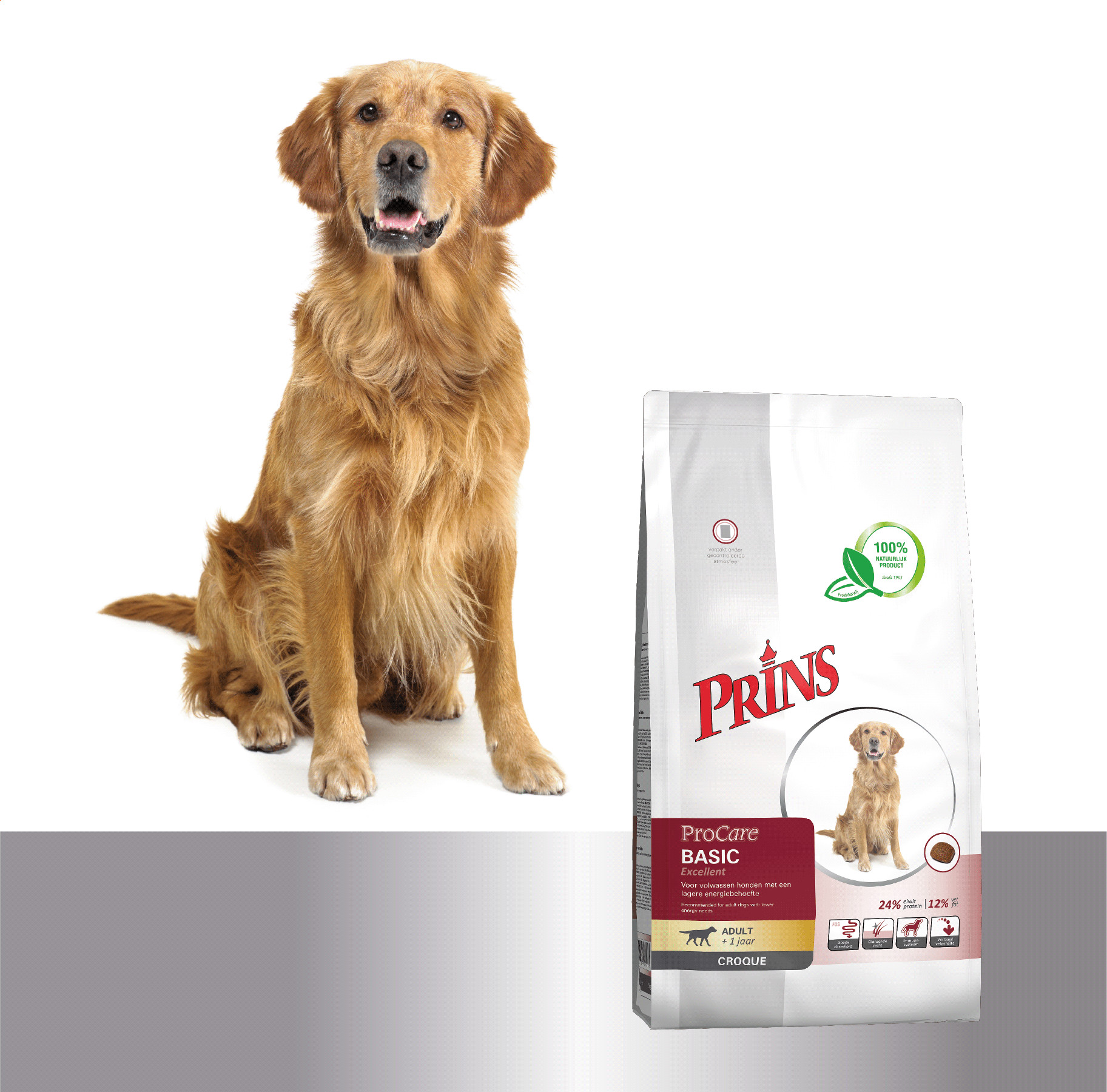 Prins ProCare Croque Basis Excellent hondenvoer