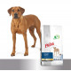 Prins ProCare Croque Super Performance hondenvoer