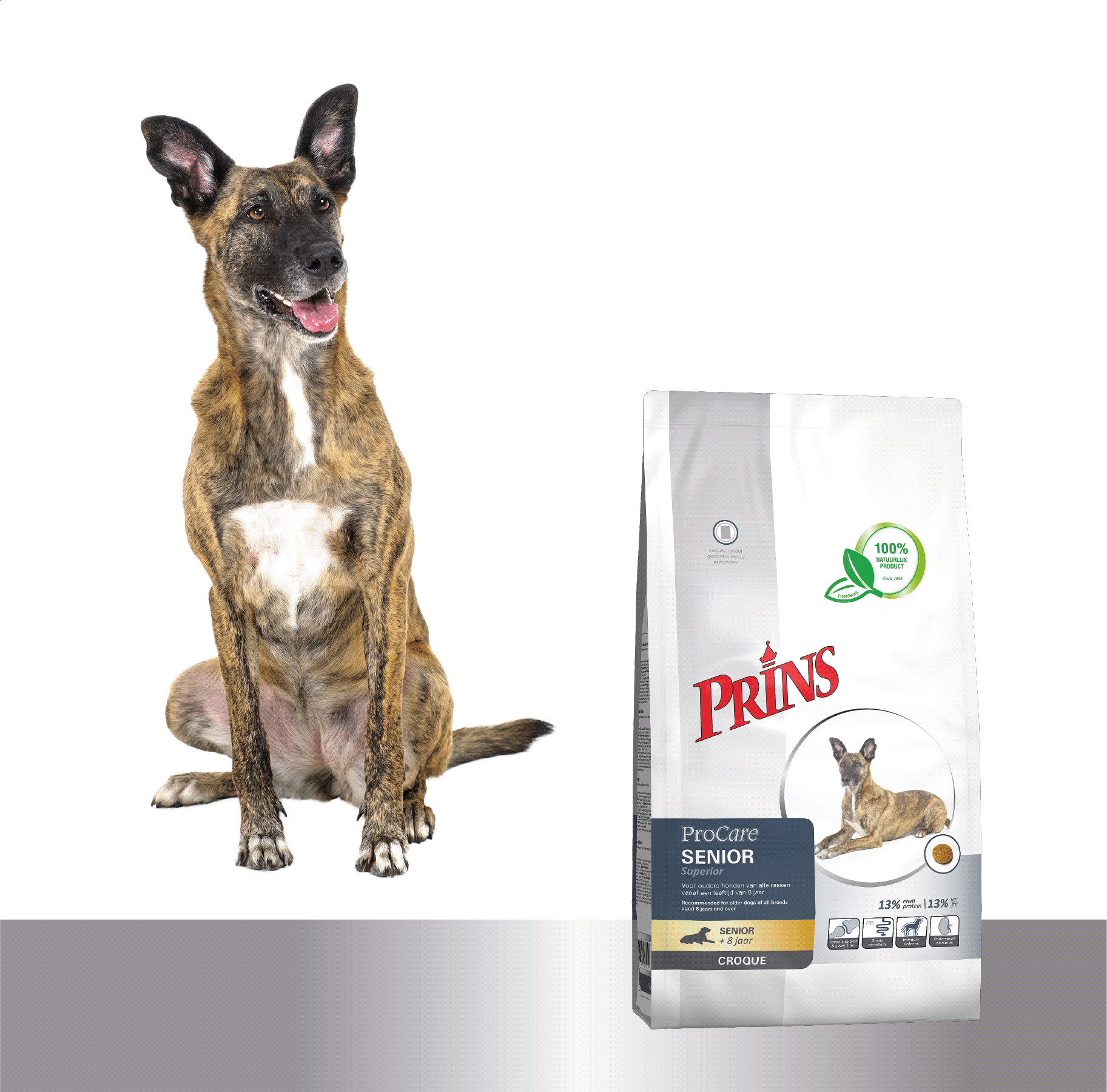 Prins ProCare Croque Senior Superior hondenvoer