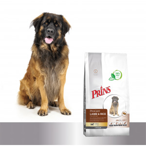 Prins ProCare Croque Lam & Rijst Hypo-Allergic hondenvoer