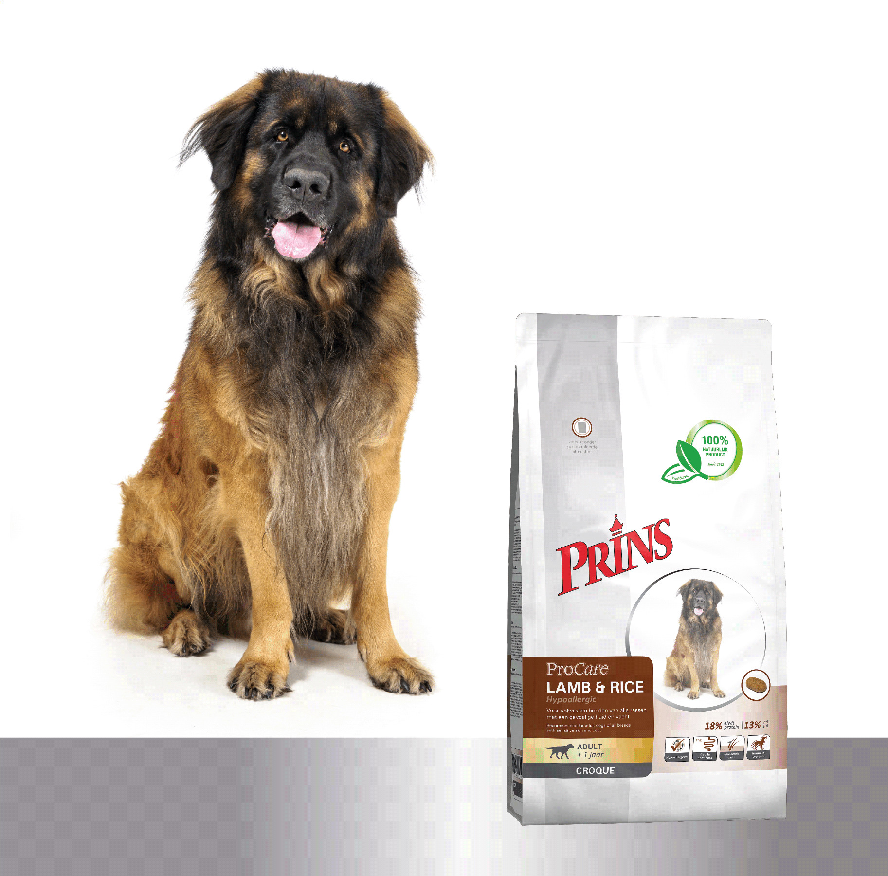 Prins ProCare Croque Lam & Rijst Hypo-Allergic hondenvoer