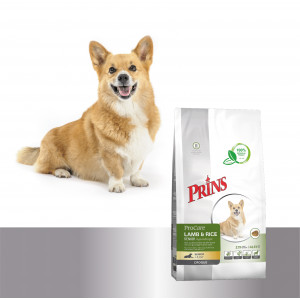 Prins ProCare Croque Lamb & Rice Senior hondenvoer