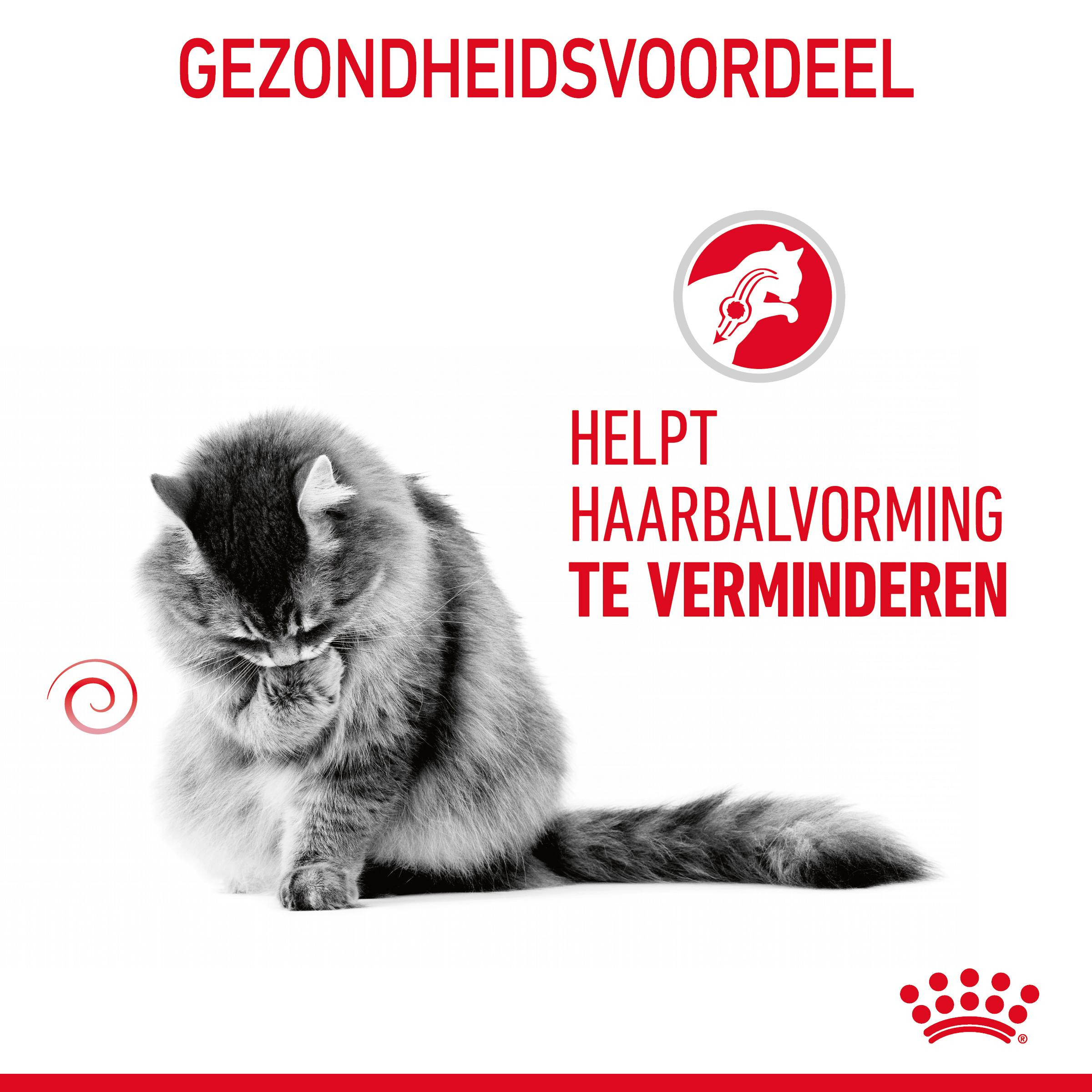 Royal Canin Hairball Care in gelei natvoer kat (85 g)