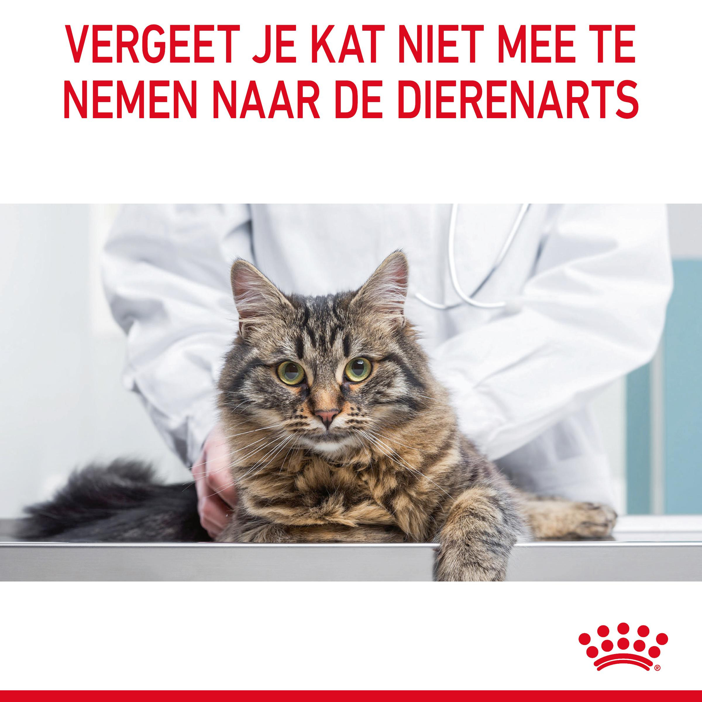 Royal Canin Hairball Care in gelei natvoer kat (85 g)