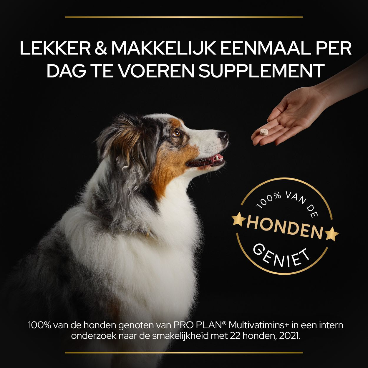 Purina Pro Plan Multivitamine voor honden (tabletten 67 g)