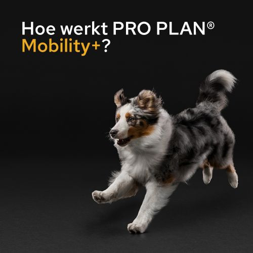 Purina Pro Plan Mobility+ supplement voor honden (poeder 60 g)