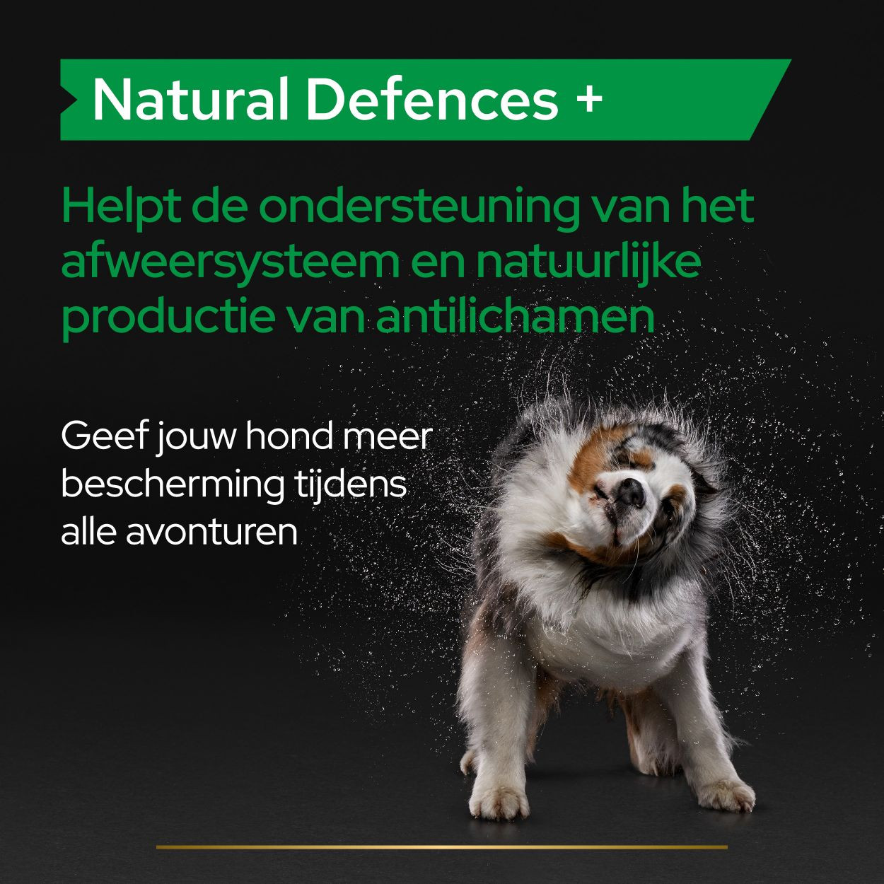 Purina Pro Plan Natural Defence supplement voor honden (tabletten 67 g)