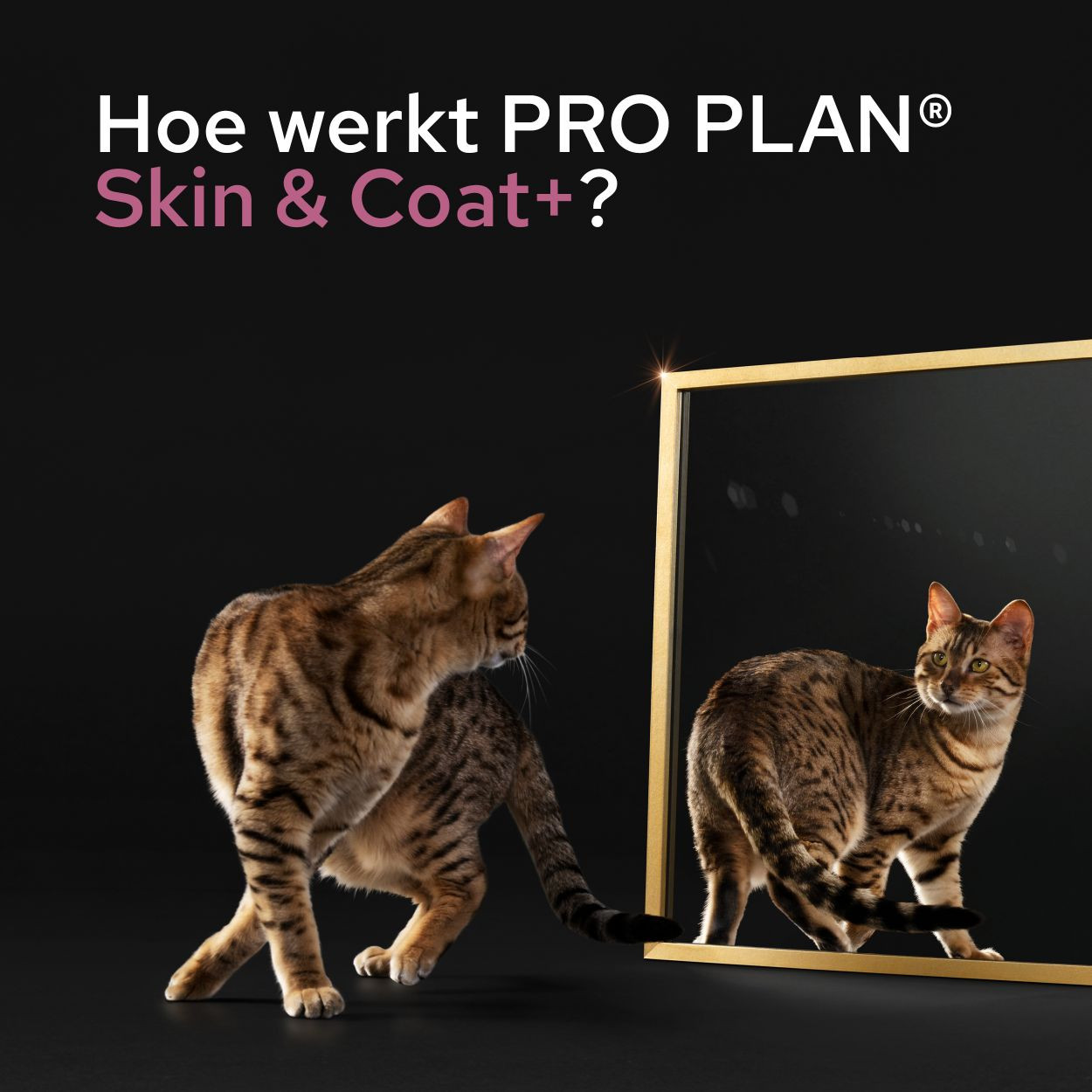 Purina Pro Plan Skin & Coat supplement voor katten (150 ml)