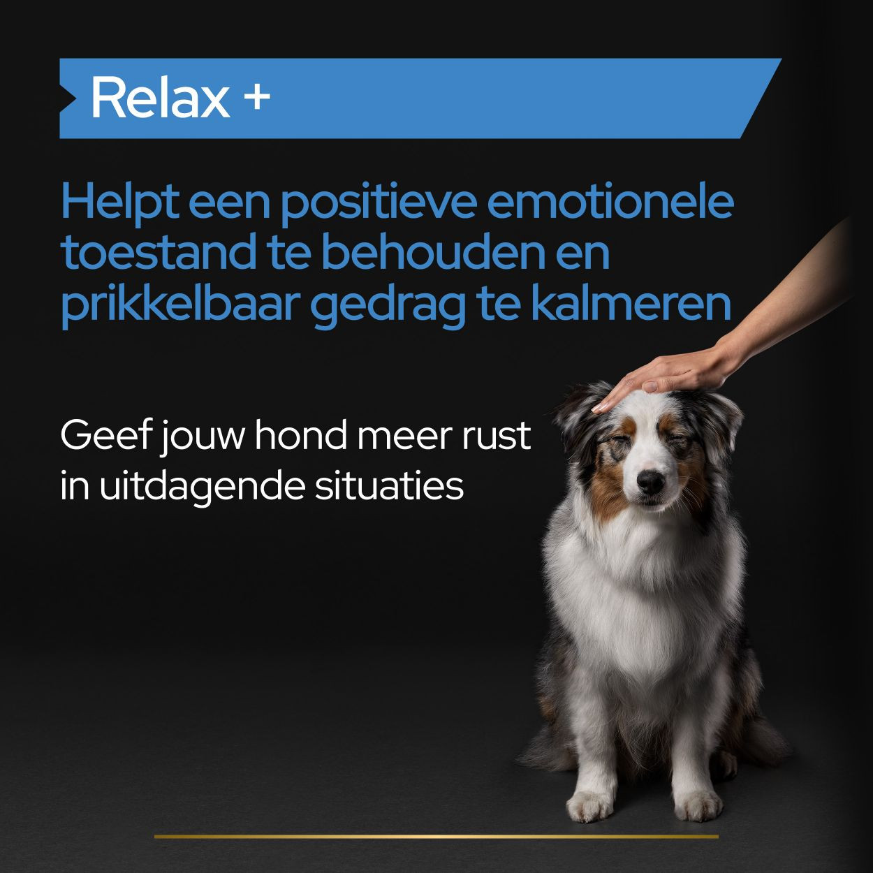 Purina Pro Plan Relax supplement voor honden (olie 250 ml)