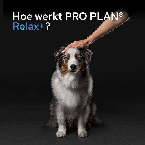 Purina Pro Plan Relax supplement voor honden (olie 250 ml)