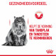 Royal Canin Dental Care kattenvoer
