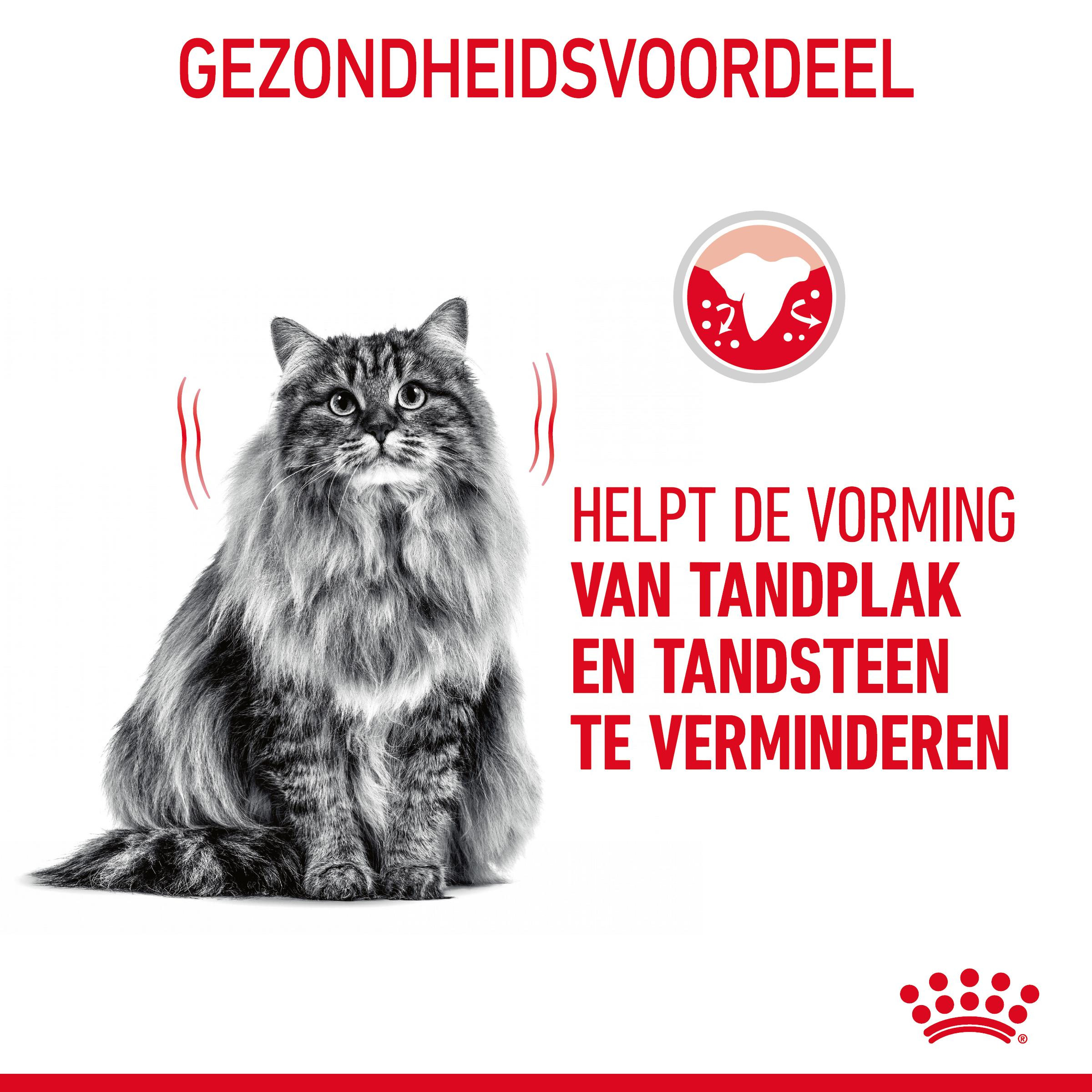 Royal Canin Dental Care kattenvoer