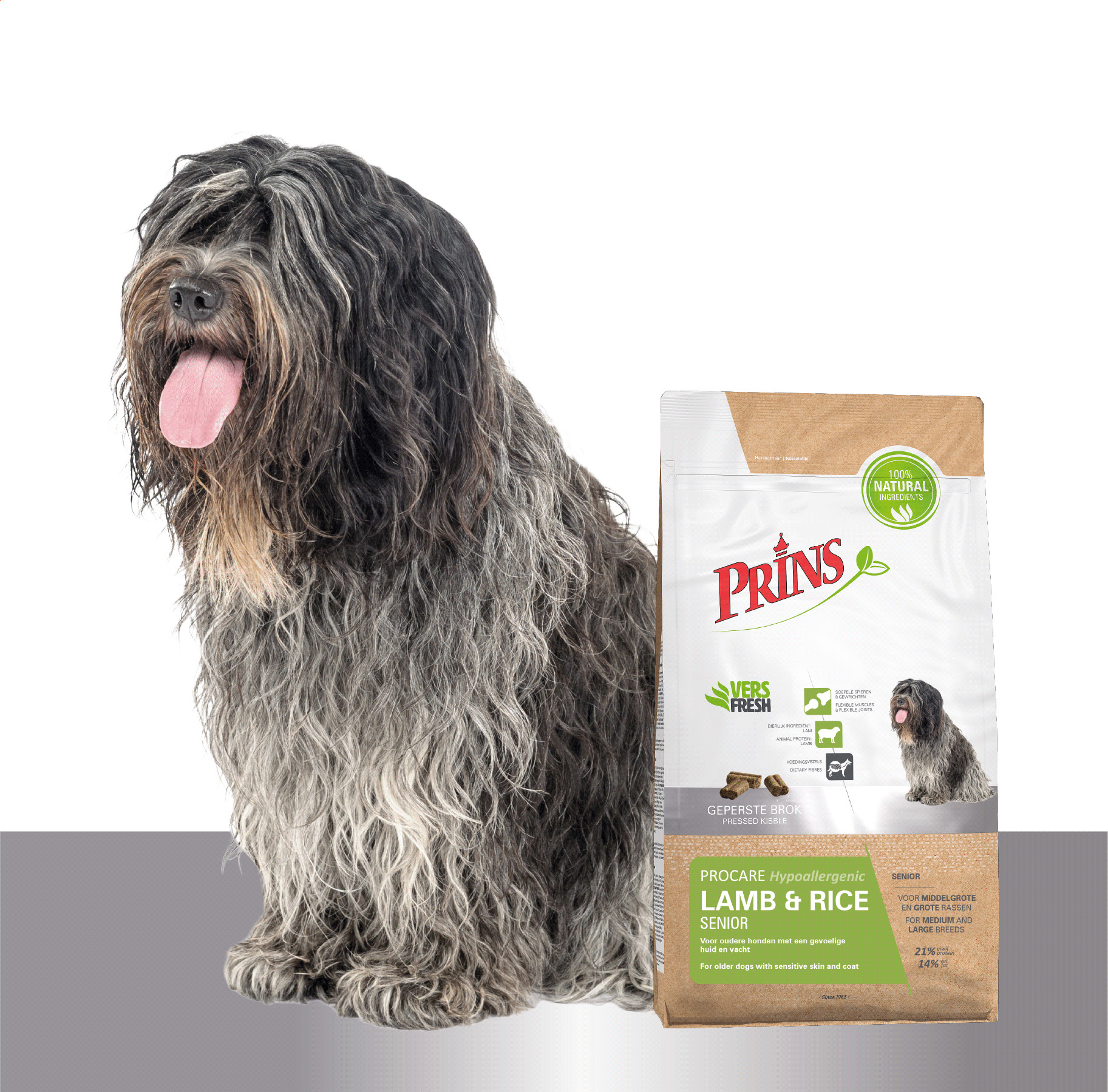 Prins ProCare Lamb & Rice Senior hondenvoer