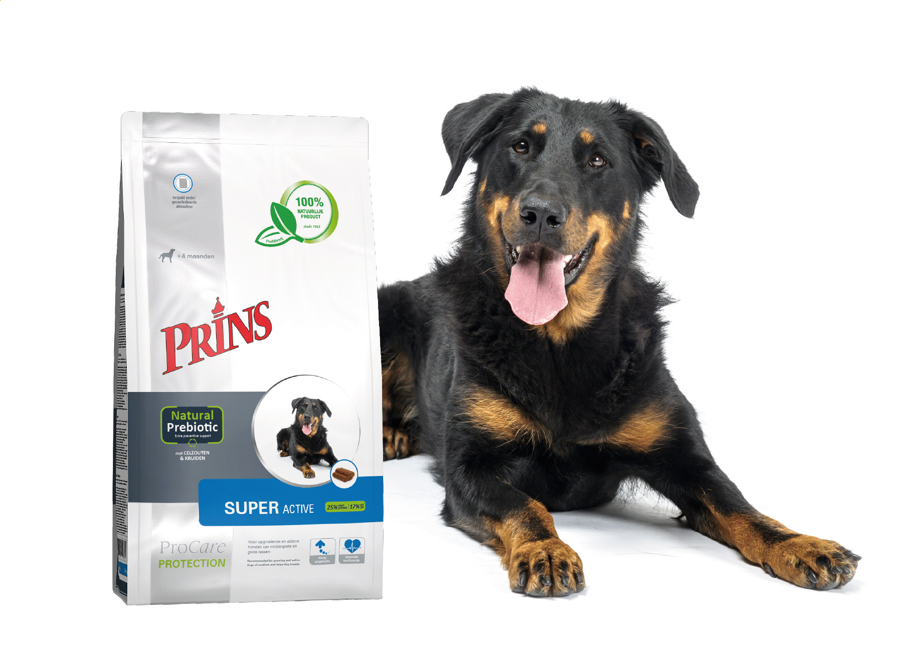 Prins ProCare Protection Super Active hondenvoer